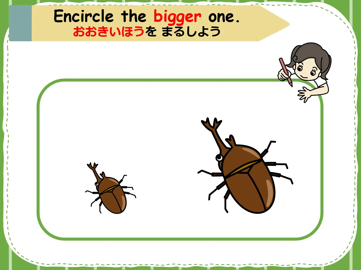 「おおきいほうをまるしよう」カブトムシの大小を比べるアクティビティ