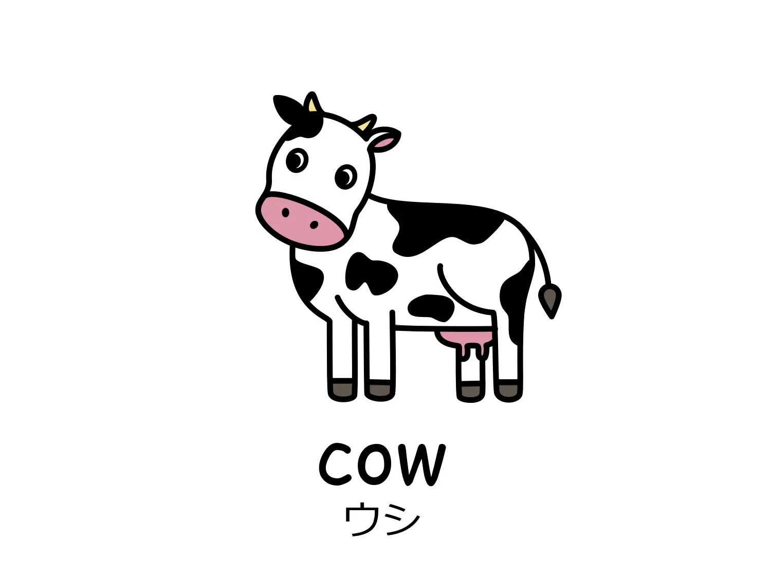 ウシのイラストと英単語cow