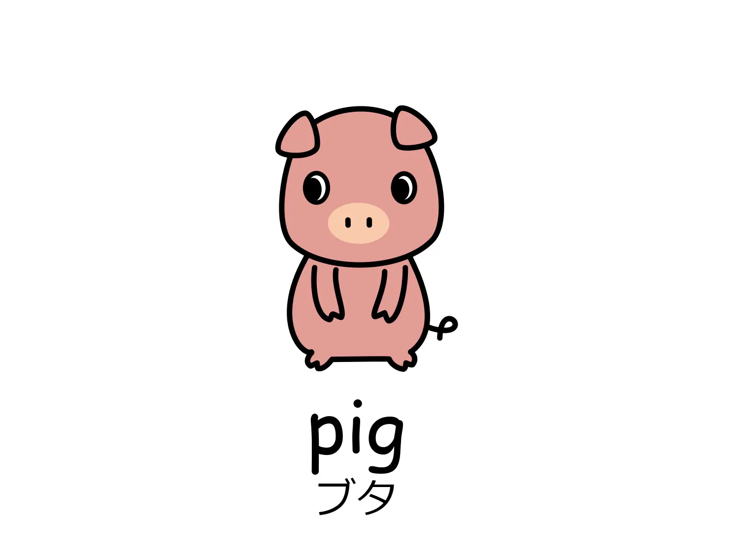 ブタのイラストと英単語pig