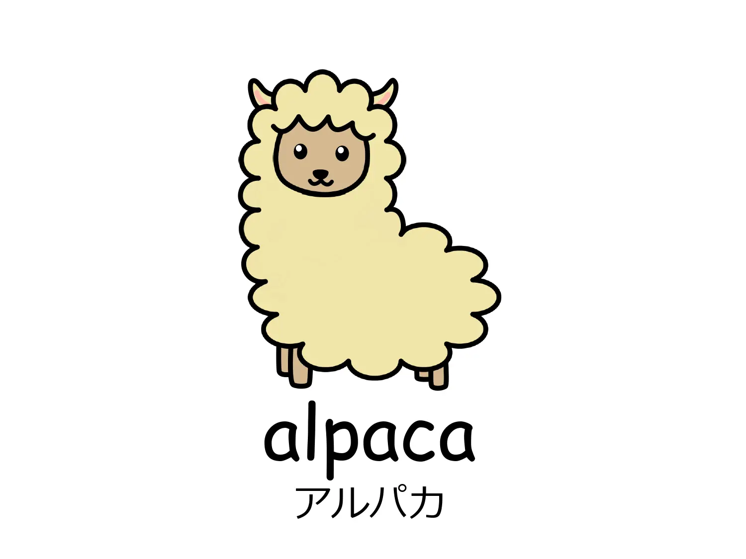 アルパカのイラストと英単語alpaca